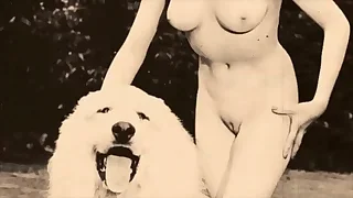 Porn Videos 0